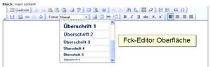 FCK Editor Anzeige